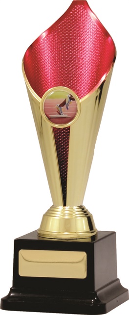 s6042_discount-athletics-trophies.jpg