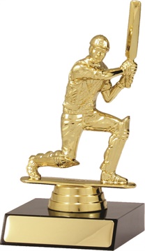 s6071_discount-general-sports-trophies.jpg