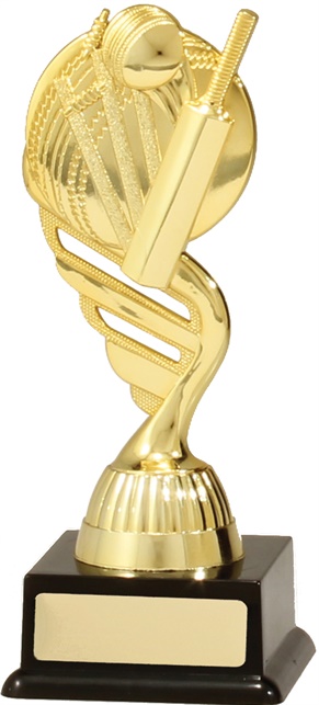 s7088_discount-cricket-trophies.jpg