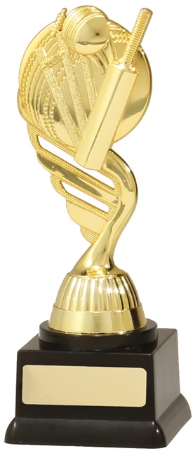 s7088_discount-cricket-trophies.jpg