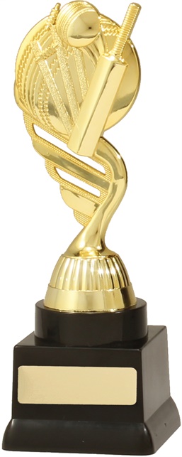 s7088_discount-cricket-trophies.jpg