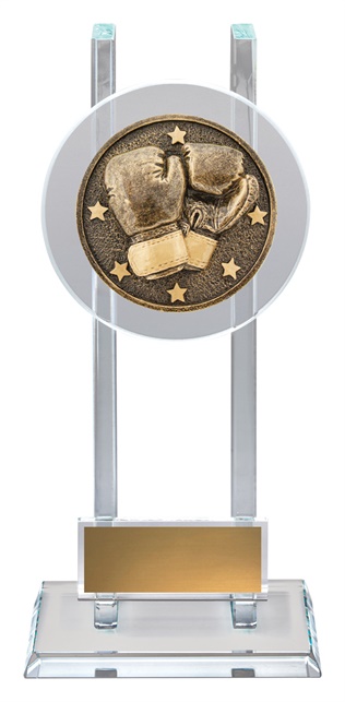 sg232_discount-general-sports-trophies.jpg