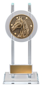 sg235_discount-general-sports-trophies.jpg