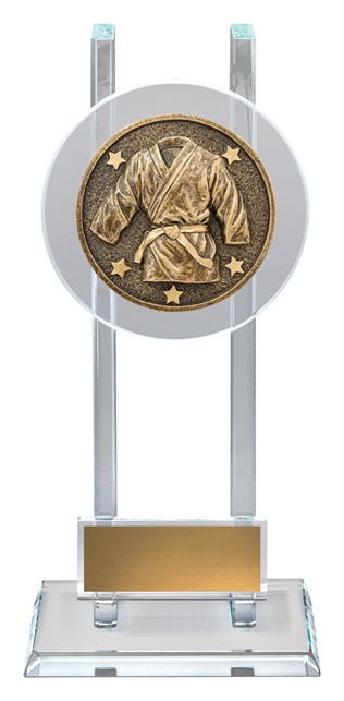 sg245_discount-general-sports-trophies.jpg