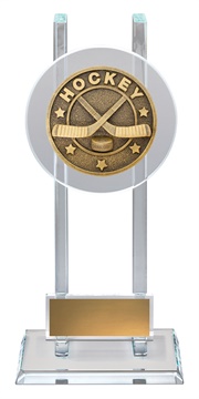 sg250_discount-ice-hockey-trophies.jpg