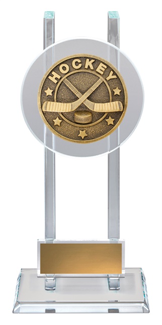 sg250_discount-ice-hockey-trophies.jpg