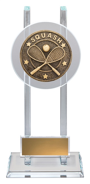 sg286_discount-general-sports-trophies.jpg