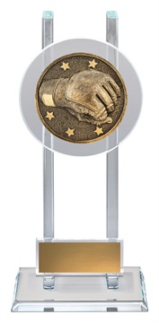 sg291_discount-general-sports-trophies.jpg