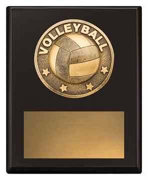 sp627a_discount-general-sports-trophies.jpg