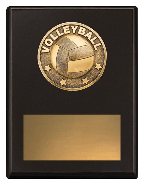 sp627a_discount-general-sports-trophies.jpg