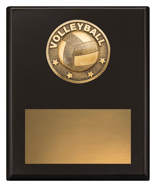 sp627a_discount-general-sports-trophies.jpg
