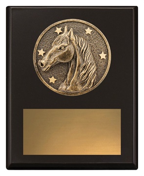 sp635a_discount-general-sports-trophies.jpg