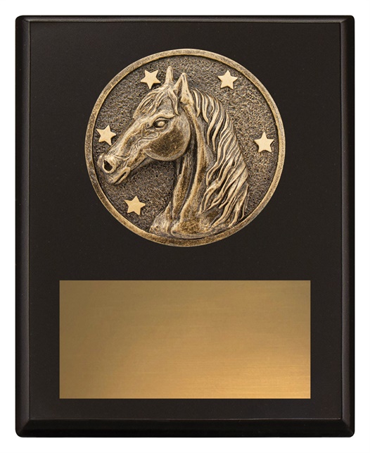 sp635a_discount-general-sports-trophies.jpg