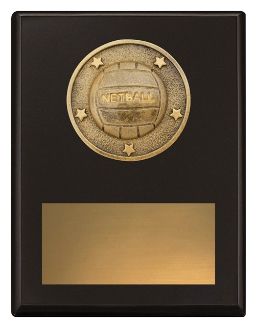 sp637a_discount-netball-trophies.jpg