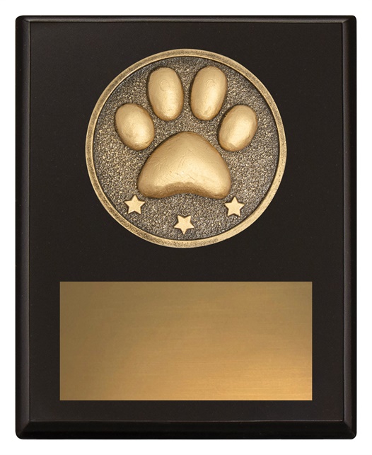 sp679a_discount-general-sports-trophies.jpg