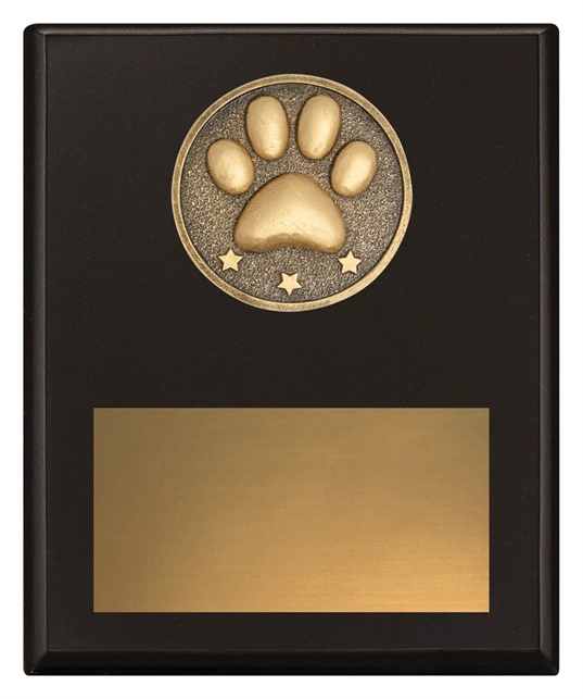 sp679a_discount-general-sports-trophies.jpg