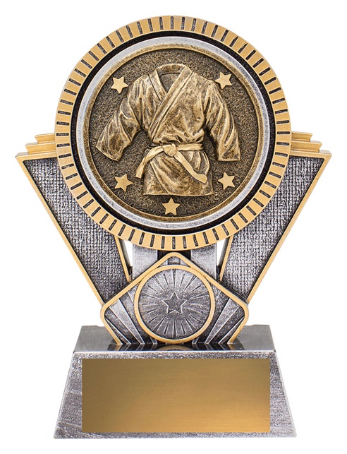 sr145a_discount-martial-arts-trophies.jpg