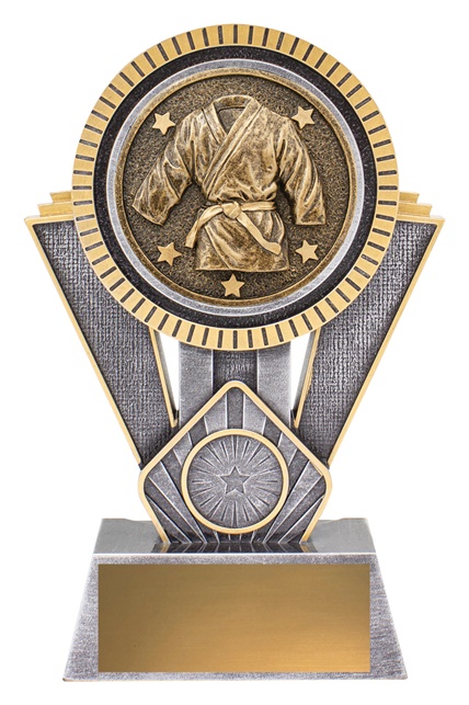 sr145a_discount-martial-arts-trophies.jpg