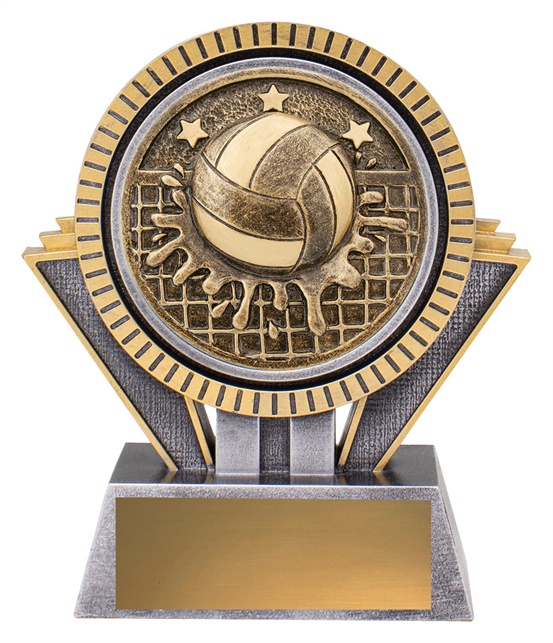 sr170a_discount-water-polo-trophies.jpg