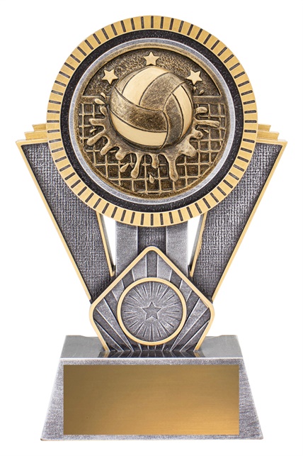 sr170b_discount-water-polo-trophies.jpg