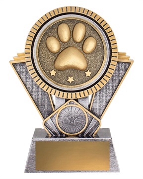 sr179b_discount-novelty-miscellaneous-trophies.jpg