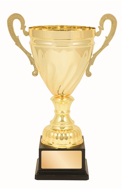 tgc004_discount-trophy-cups.jpg