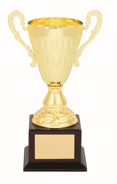 tgc005a_discount-trophy-cups.jpg