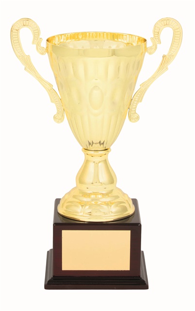 tgc005a_discount-trophy-cups.jpg