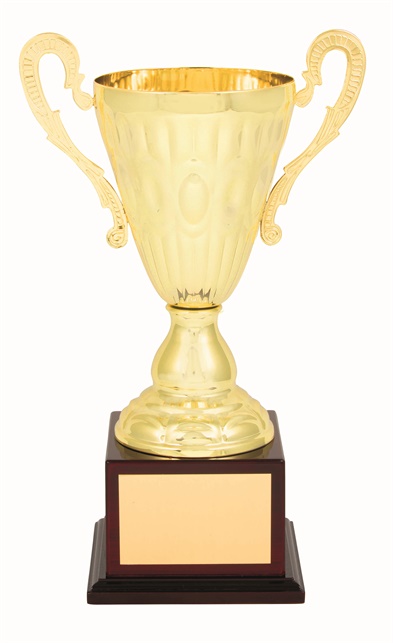 tgc005a_discount-trophy-cups.jpg