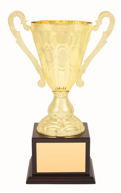tgc005a_discount-trophy-cups.jpg
