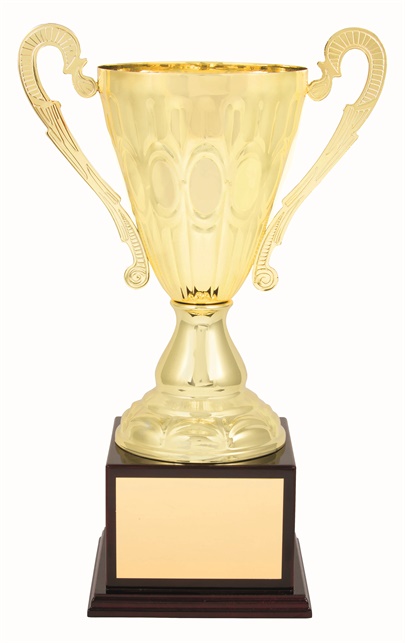 tgc005a_discount-trophy-cups.jpg
