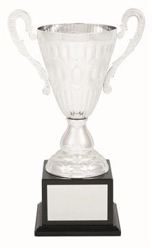 tgc006a_discount-trophy-cups.jpg