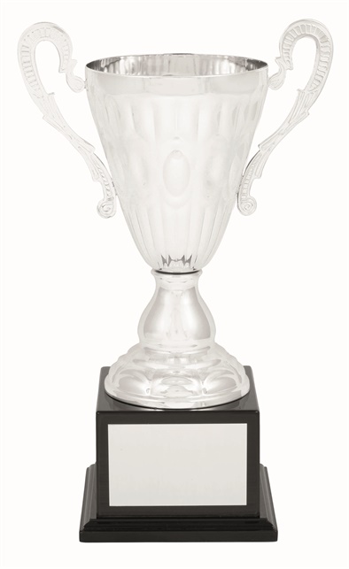 tgc006a_discount-trophy-cups.jpg