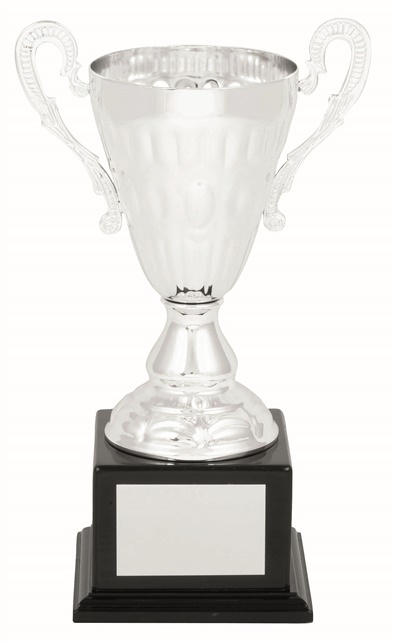 tgc006a_discount-trophy-cups.jpg