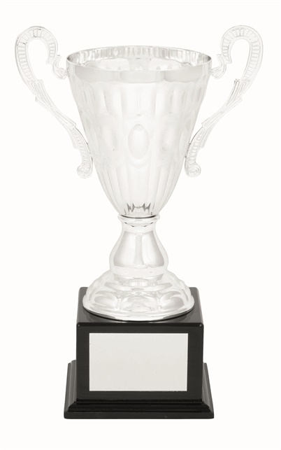 tgc006a_discount-trophy-cups.jpg
