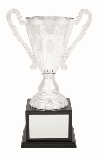 tgc006a_discount-trophy-cups.jpg