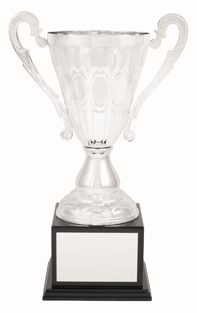 tgc006a_discount-trophy-cups.jpg