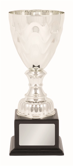 tgc008_discount-trophy-cups.jpg
