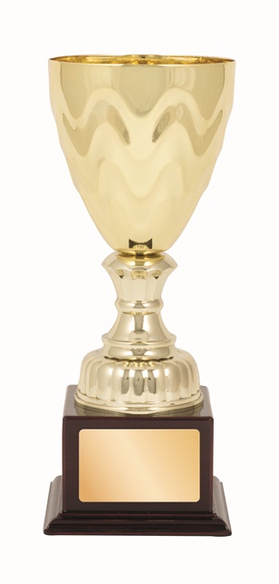 tgc010_discount-trophy-cups.jpg