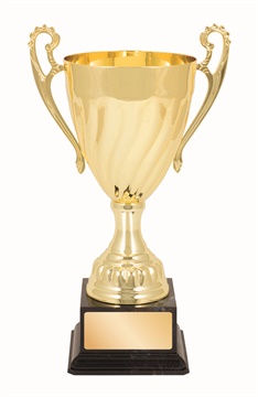 tgc012_discount-trophy-cups.jpg