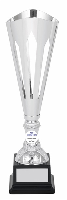 tgc066a_discount-trophy-cups.jpg