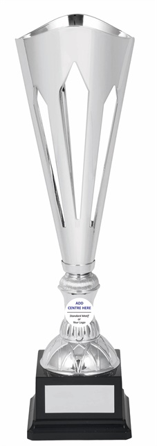 tgc066a_discount-trophy-cups.jpg