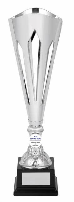 tgc066a_discount-trophy-cups.jpg