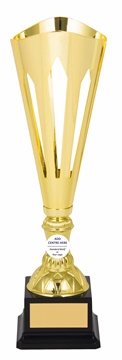 tgc067a_discount-trophy-cups.jpg