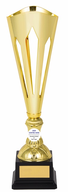 tgc067a_discount-trophy-cups.jpg