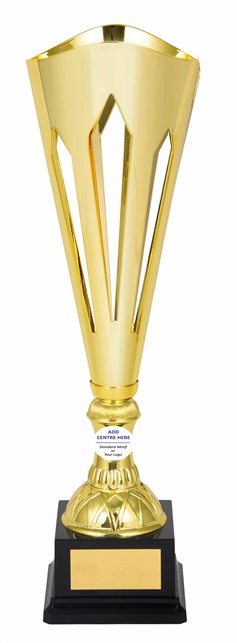 tgc067a_discount-trophy-cups.jpg