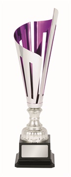 tgc085a_discount-trophy-cups.jpg