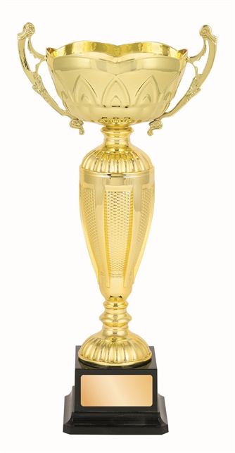 tgc092a_discount-trophy-cups.jpg