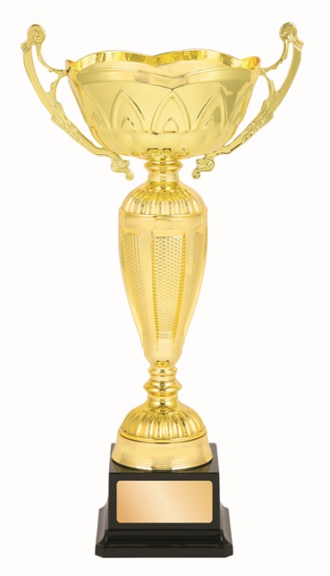 tgc092a_discount-trophy-cups.jpg