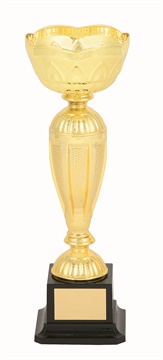 tgc097a_discount-trophy-cups.jpg